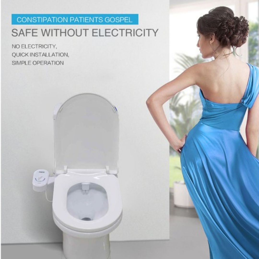 Japanese Inspired Bidet
