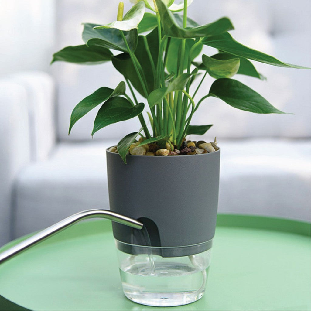 Home Buddy™ Natural Self Watering Pots