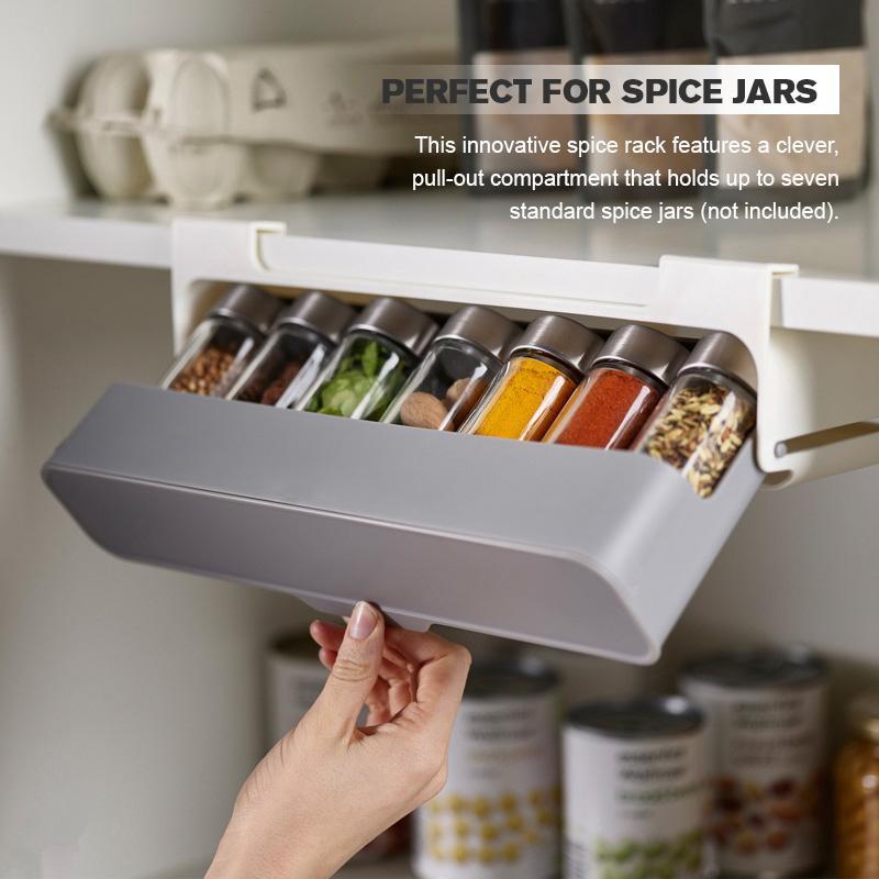 Easy Home Wall-mounted Under-Shelf Spice Organizer
