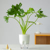 Load image into Gallery viewer, Home Buddy™ Natural Self Watering Pots